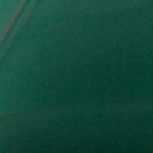 Meet your Posher, Chan